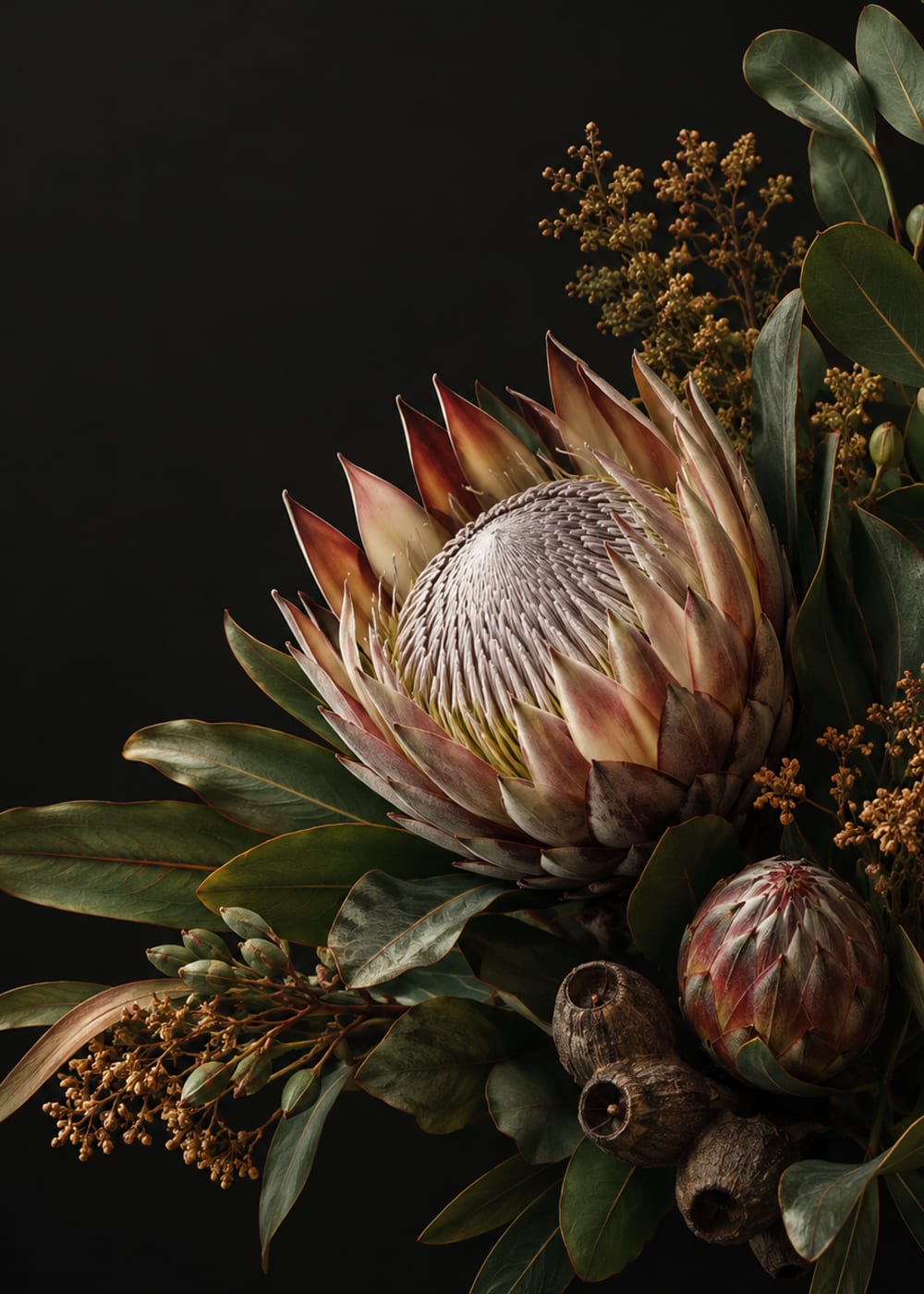 A king protea, South Africa's national flower